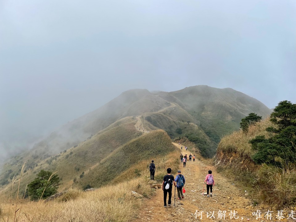 大南山20221106 04