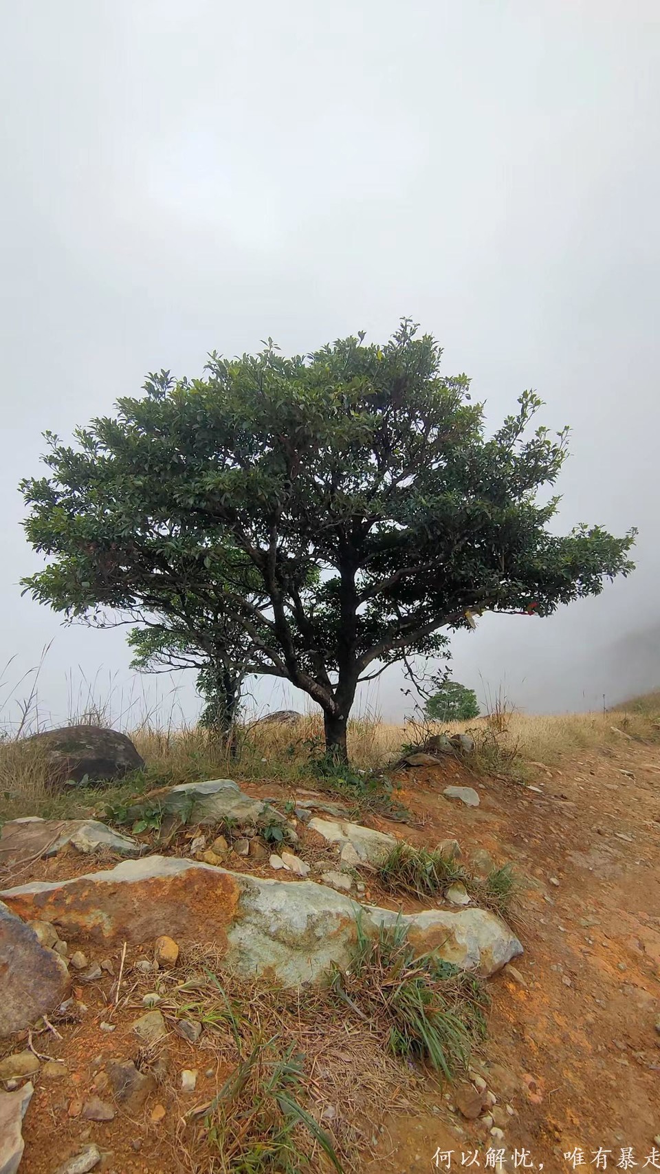 大南山20221106 06