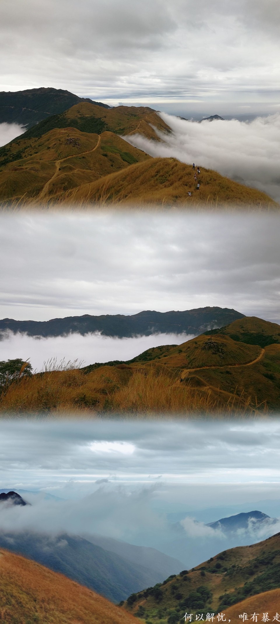 大南山20221106 09