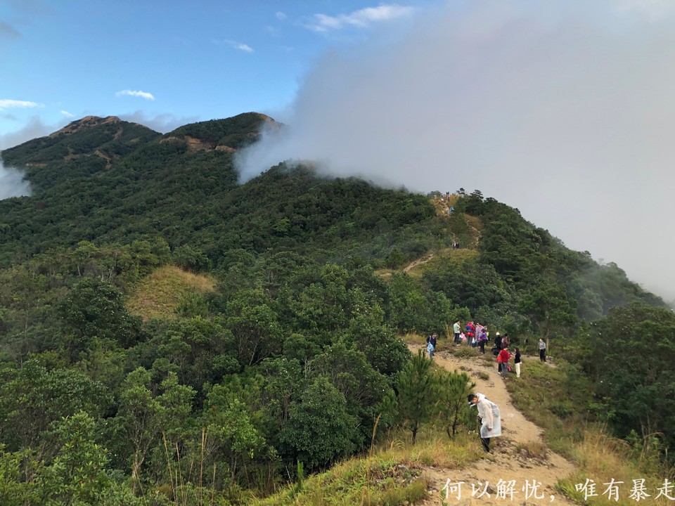 大南山20221106 11