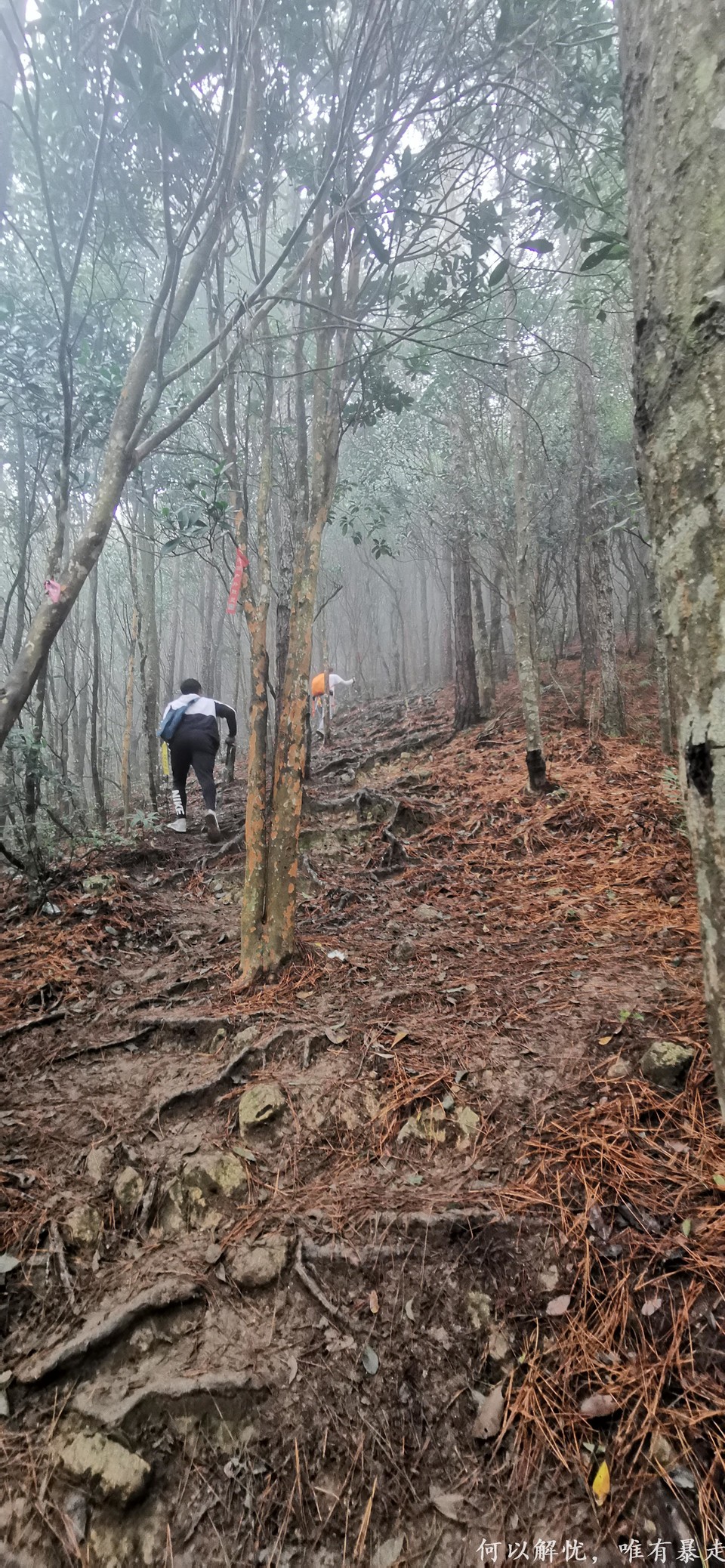 大南山20221106 15