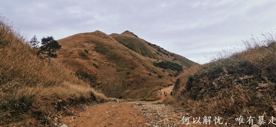 大南山20221106 16