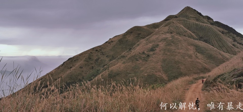 大南山20221106 17