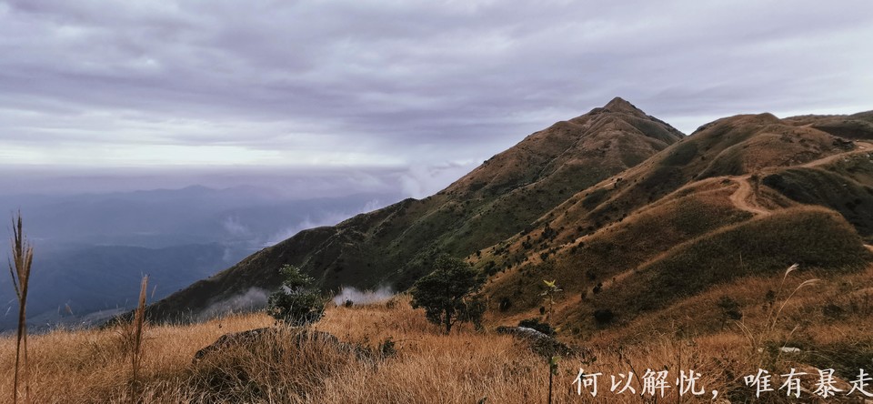 大南山20221106 19