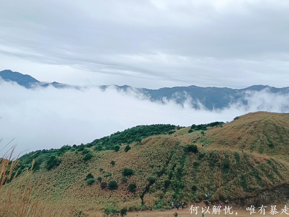 大南山20221106 22