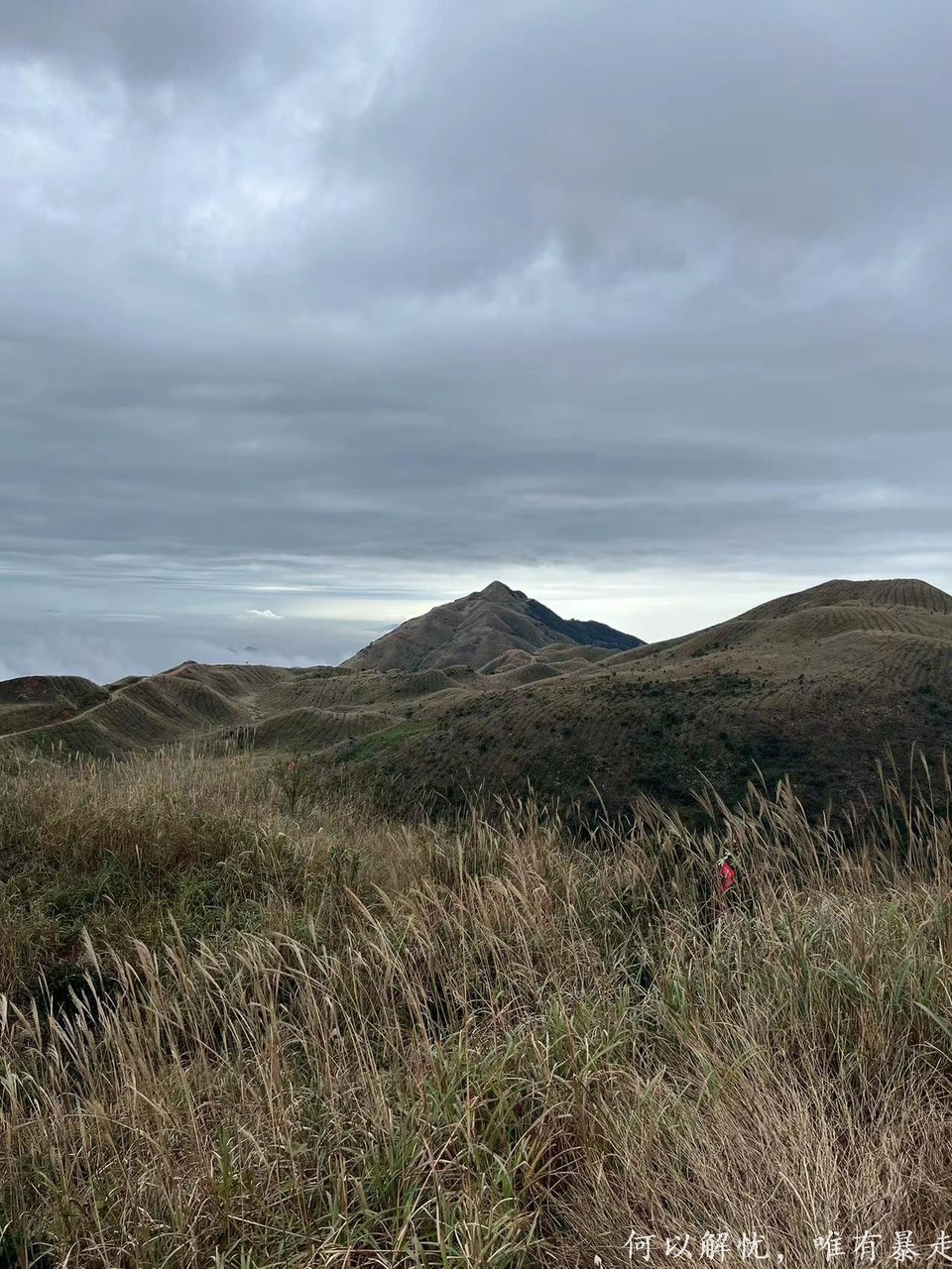 大南山20221106 26