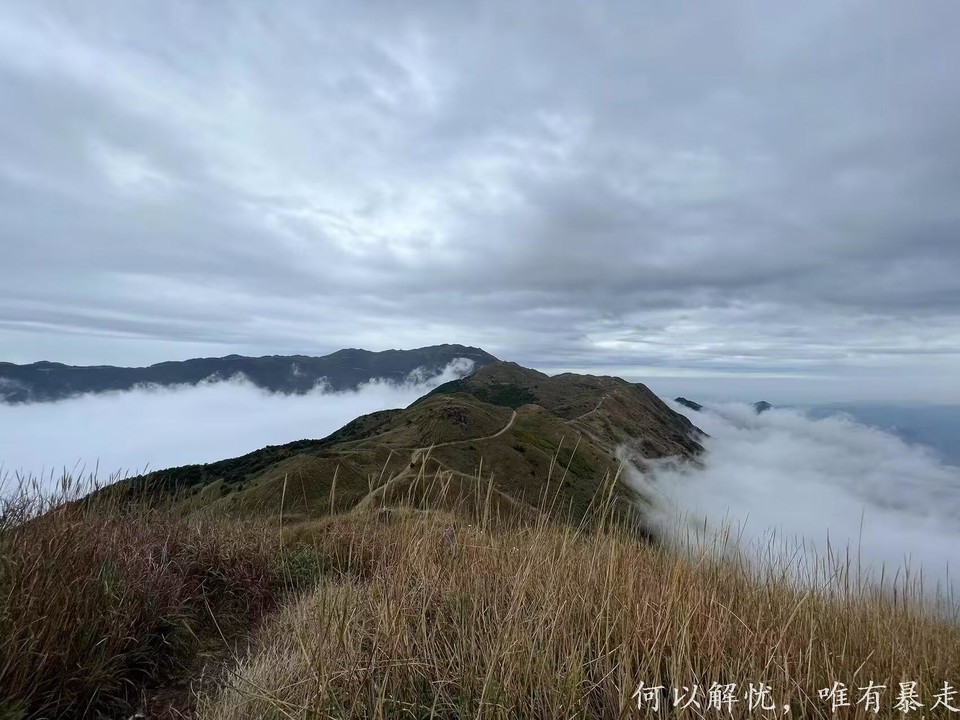 大南山20221106 27