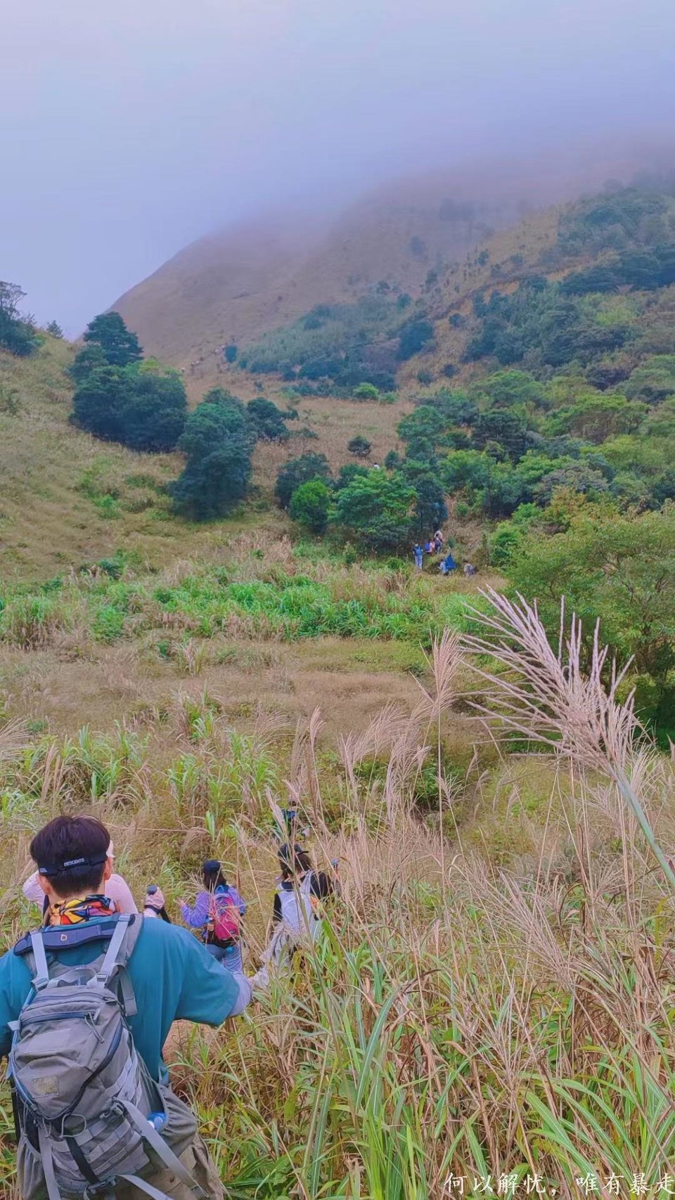 大南山20221106 29