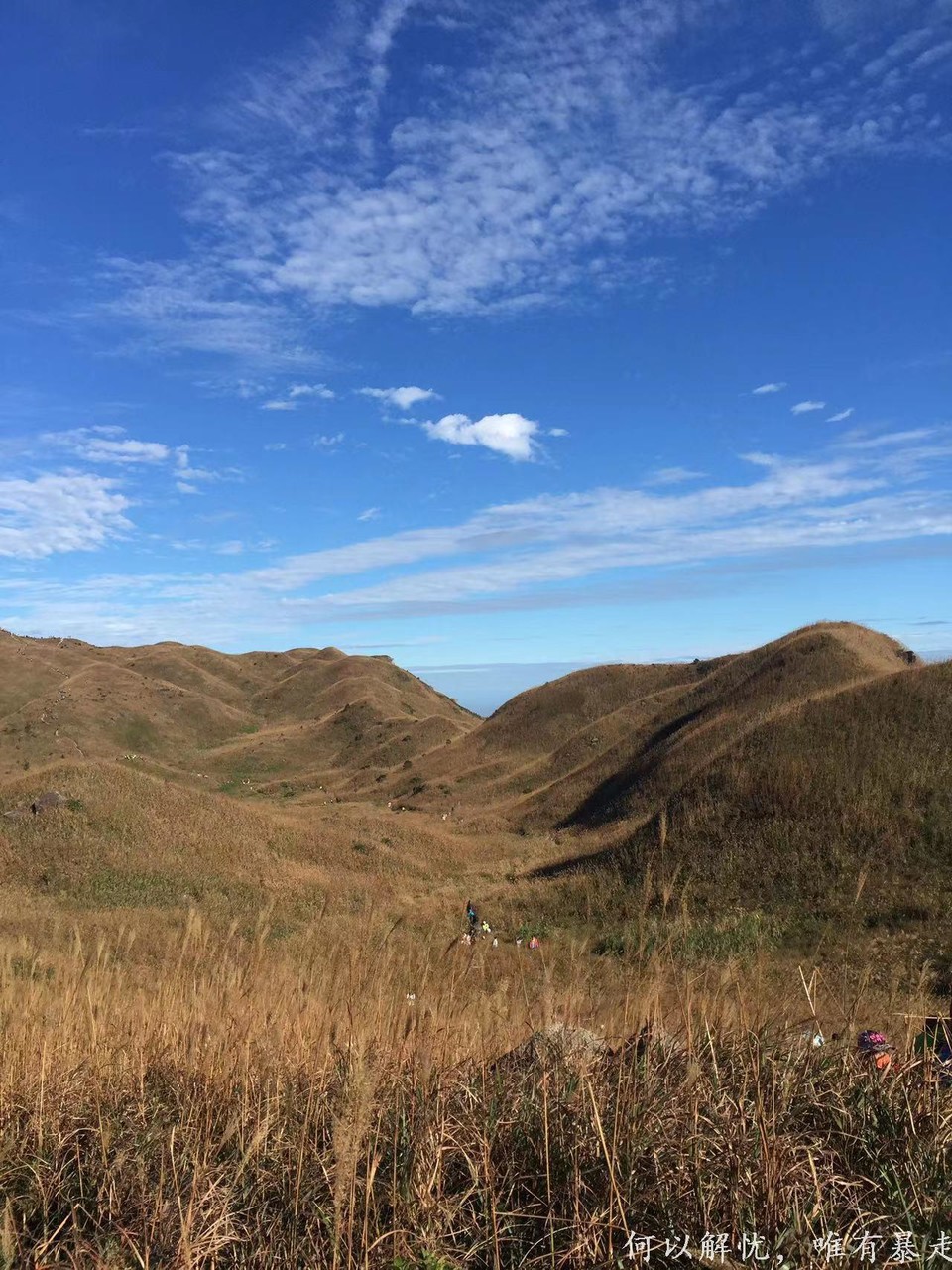 大南山20221106 31