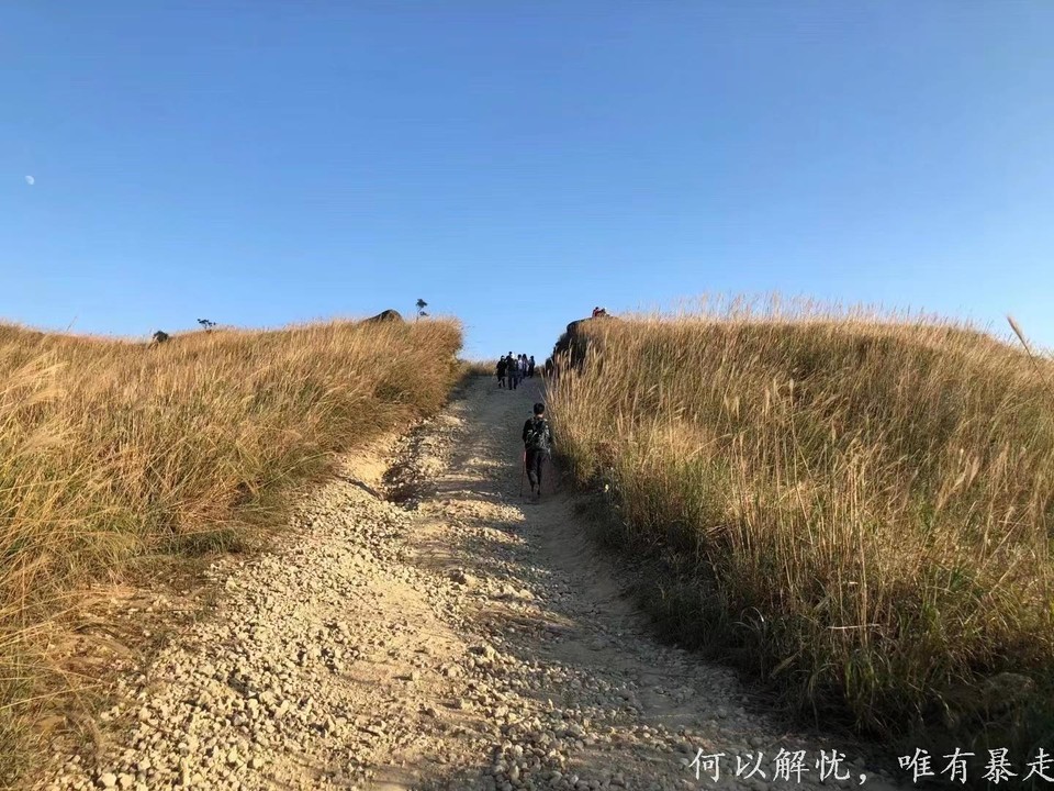 大南山20221106 32