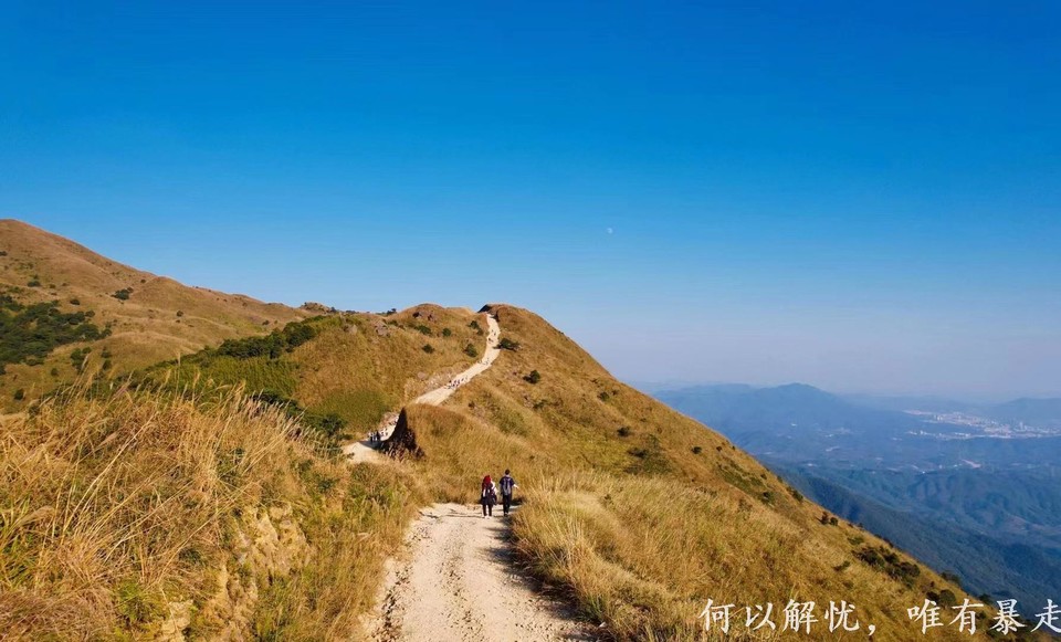 大南山20221106 33