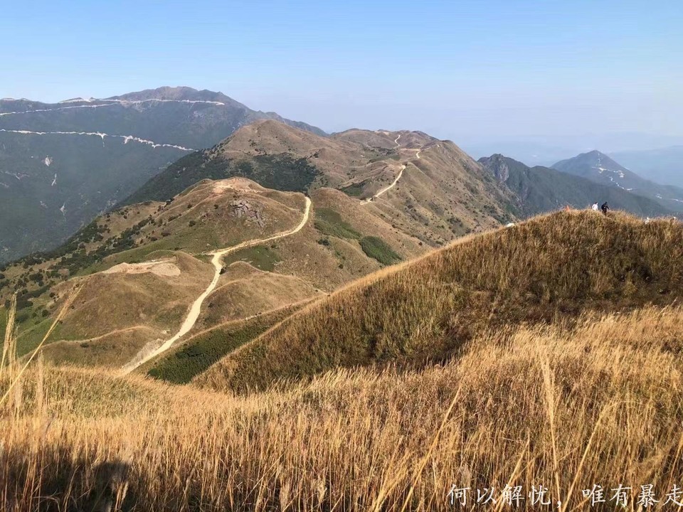 大南山20221106 34