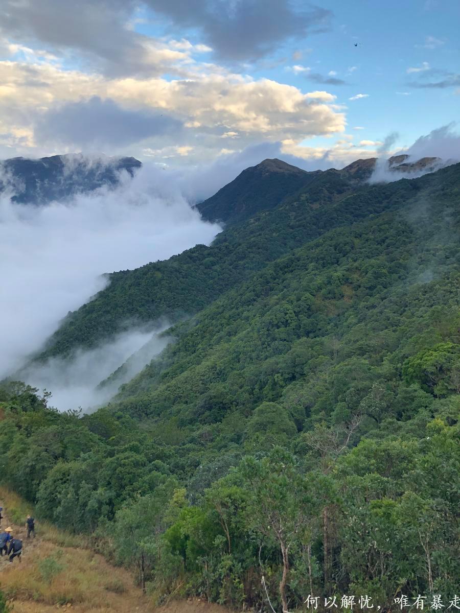 大南山20221106 14