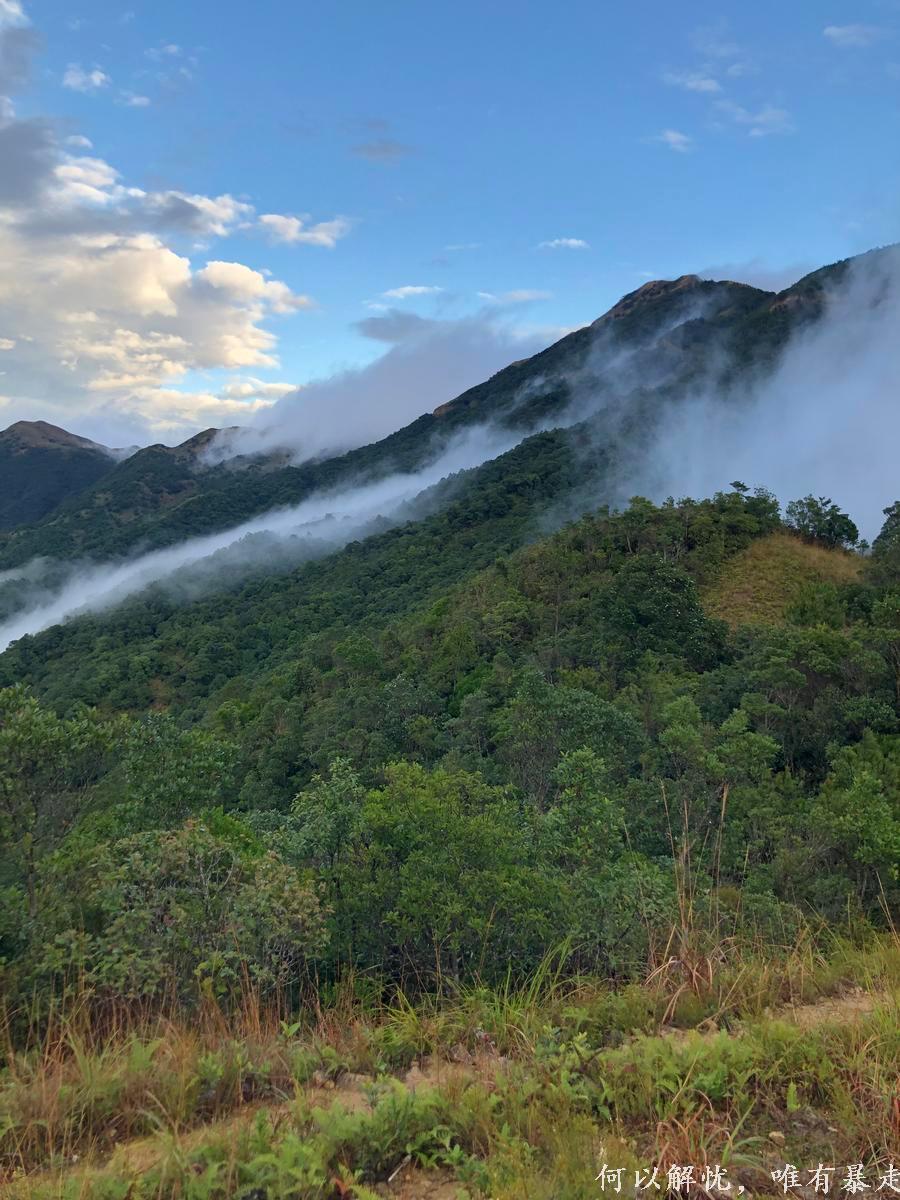 大南山20221106 13