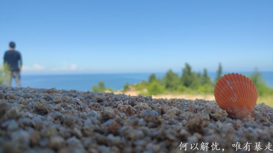 大星山 20220814 19