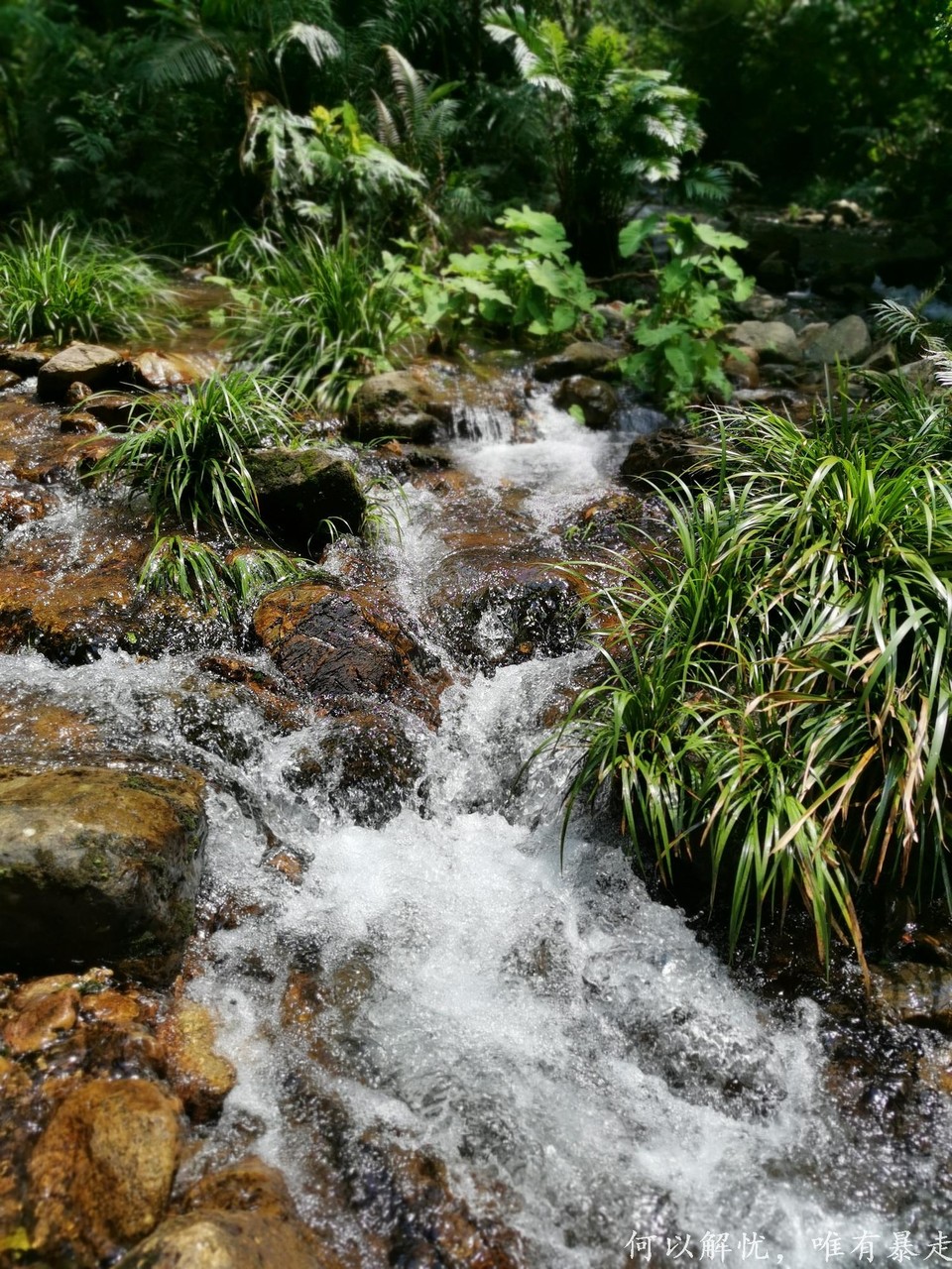 情人谷溯溪 08