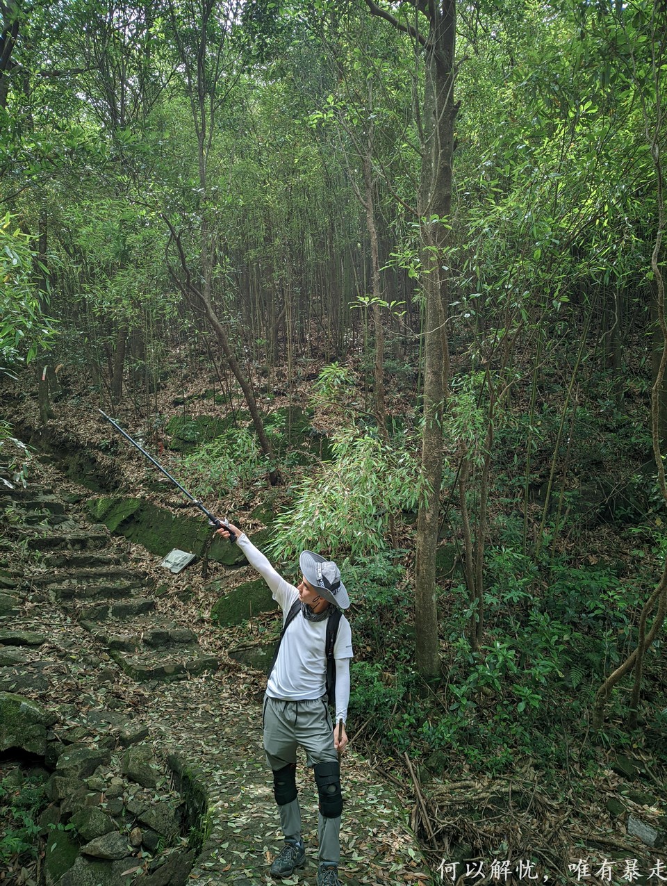 罗浮山 20220626 (6)