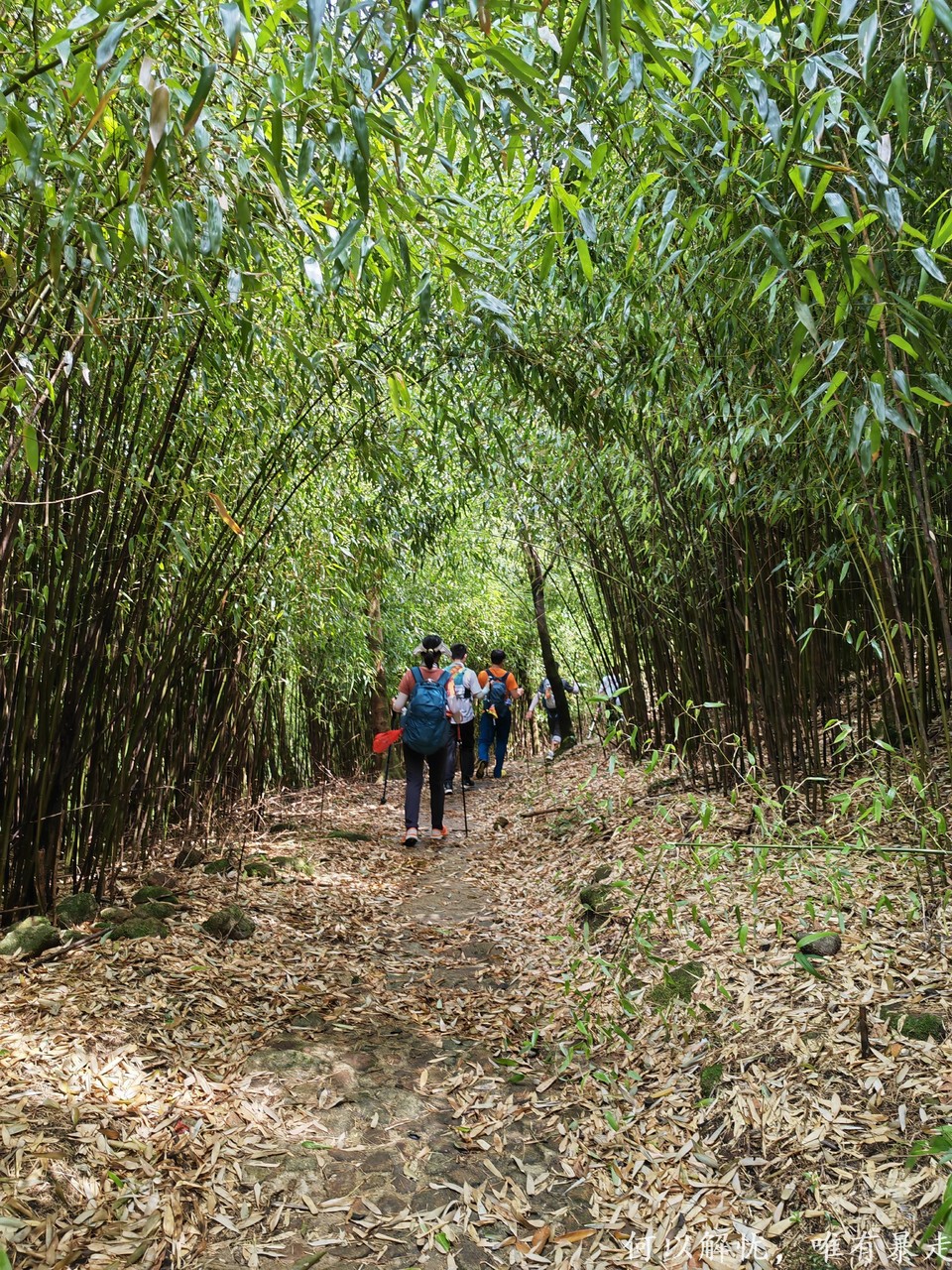 罗浮山 20220626 (8)