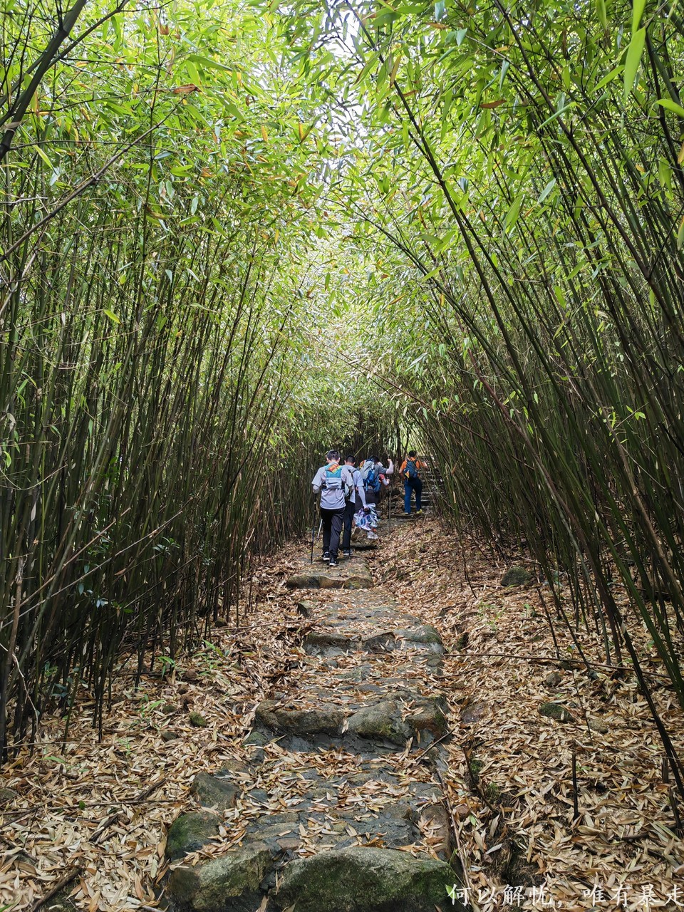 罗浮山 20220626 (9)