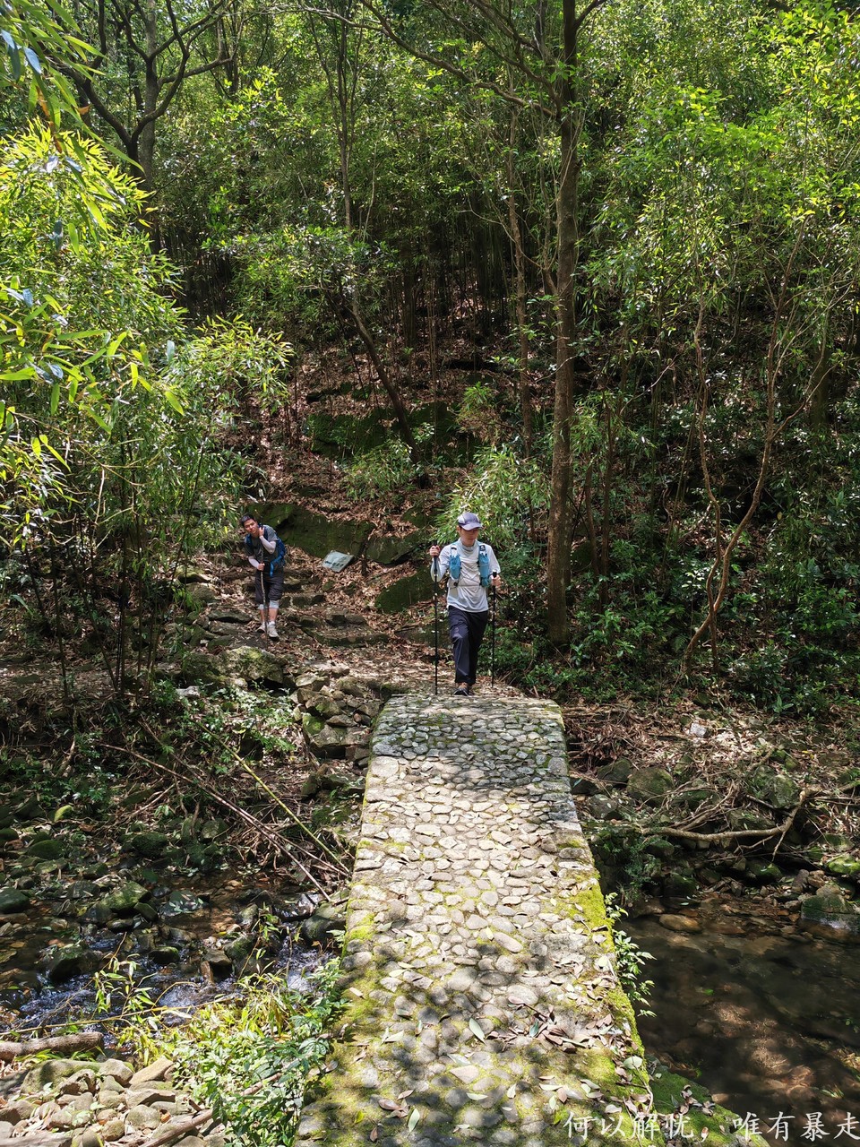 罗浮山 20220626 (11)