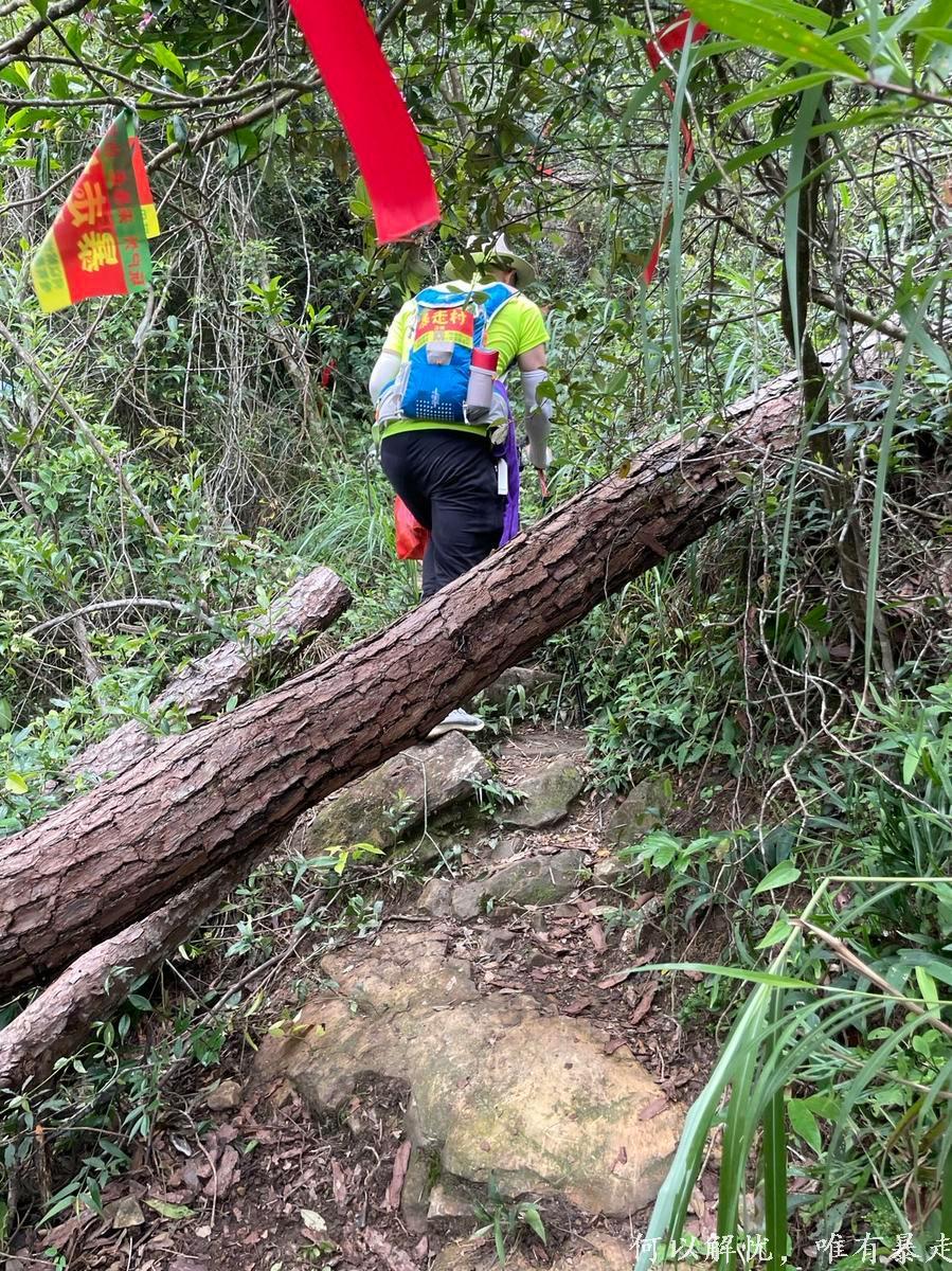 海丰莲花山 20220626 (17)