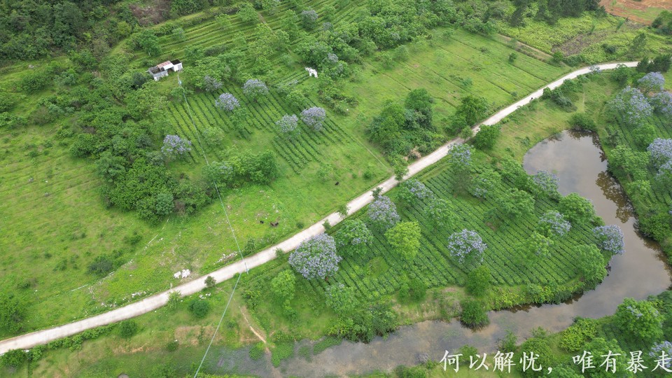 微信图片_20230514215249