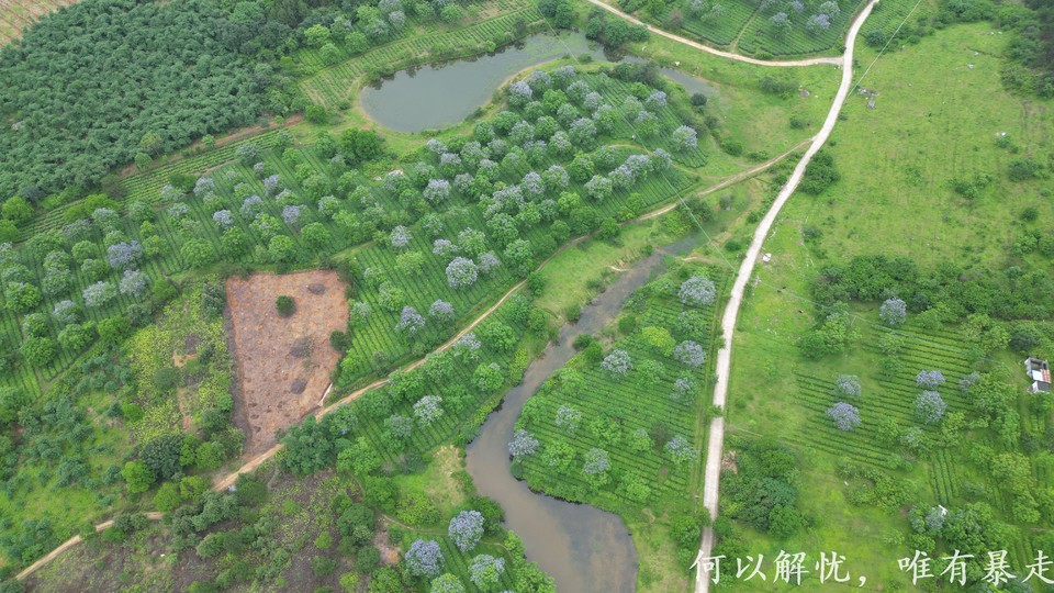 微信图片_20230514215256