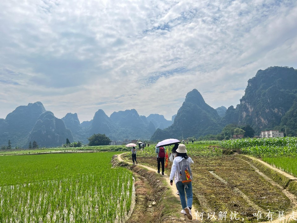 微信图片_20230514215531