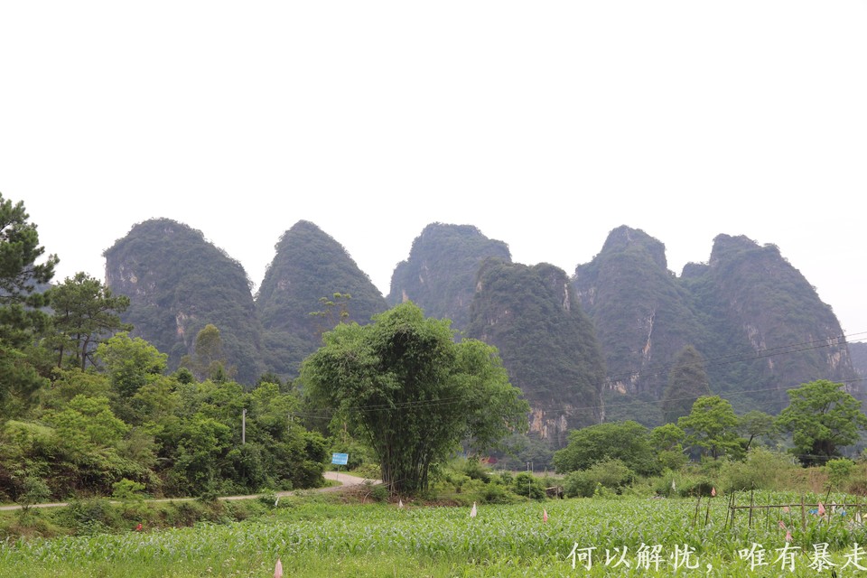 微信图片_20230514215821