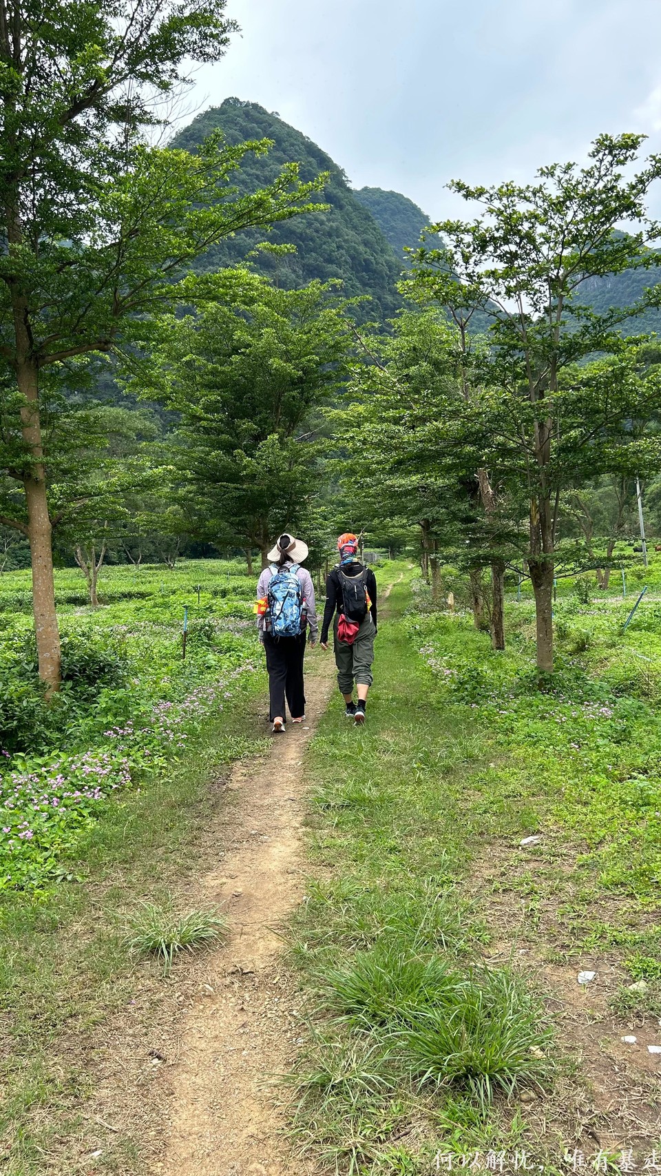 微信图片_20230514215850