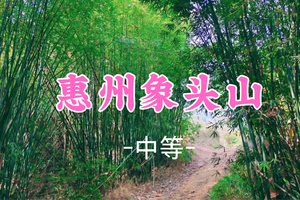 即将成团！新线首发！79元起！周六3.28【象头山14公里 】探访自然秘境，象头山百年古道14公里徒步穿越