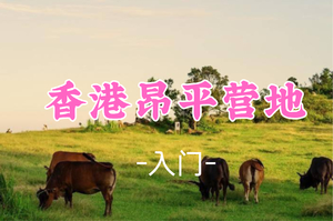 即将成团！79元起！周六4.25 小向领队【昂平营地】香港昂平营地草甸惬意风景+桥咀洲海岛徒步