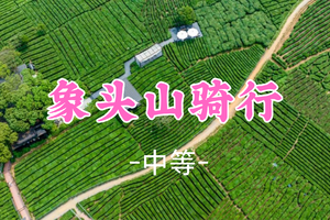 即将成团！89元起！周六6.6 悟空领队【象头山骑行42公里 】泰美象头山穿越到柏塘万亩茶园骑行