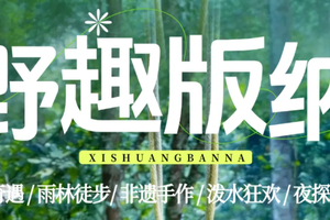 每周六集合！【野趣版纳5天】野象谷 | 雨林徒步 | 傣族非遗手工 | 傣族园泼水狂欢 | 总佛寺 | 湄公河星光夜市