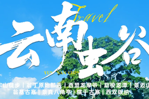 【云南虫谷7天】哀牢山秘境｜翁丁原始部落｜西盟龙摩爷｜音乐老达保｜景迈山古茶园｜翁基古寨｜糯干古寨｜景真八角亭
