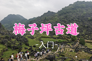 已成团！95元起!  周六6.6 小文领队【梅子坪古道9公里】阳山沙磅穿英德大湾梅子坪