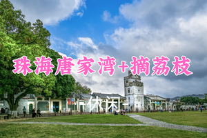 【休闲】珠海唐家湾一日游｜摘荔枝品当地美食，漫步会同古村&唐家古镇