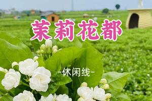 即将成团！6.13-6.14【茉莉花都】茉莉花之都寻味横县鱼生 荔枝之乡领略荔枝节的热闹 打卡隐秘的角落同款山
