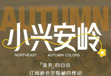 每期成团！【梦幻小兴安岭6天】层林尽染赏秋意，天然氧吧品秋味，鲜为人知的小众路线