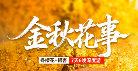【金秋花事7天】无量山樱花谷-腾冲银杏村-瑞丽一寨两国-芒市金塔银塔-和顺古镇-滇西抗战纪念馆-巍山古城