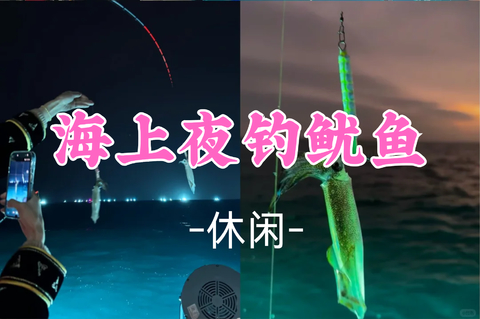 新线！已成团！69元起！周六8.29 小文领队【休闲】夏日限定海上夜钓鱿鱼，沉浸式海上休闲之旅