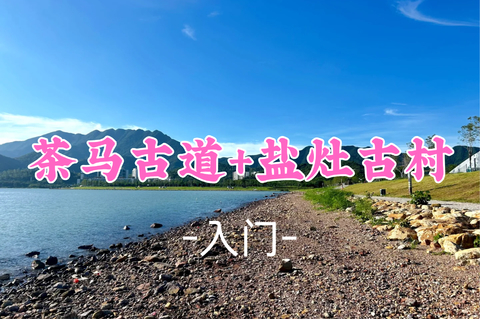 即将成团！69元起！周六8.29 【茶马古道6公里】大鹏秘境茶马古道+坝光盐灶村，银叶树湿地公园