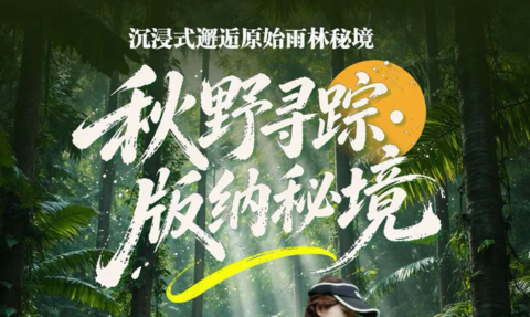 秋假成团！动车往返【秋野寻踪・版纳秘境6天】勐泐大佛寺-野象谷-曼掌村-星光夜市-勐泐大佛寺-野象谷-曼掌村-星光夜市