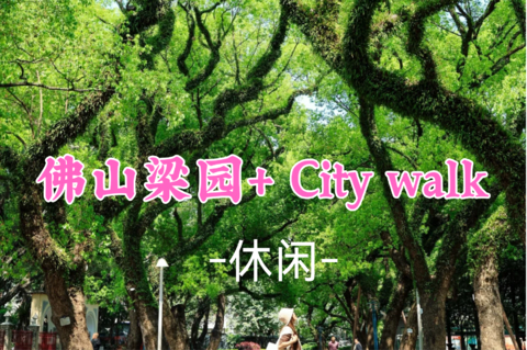 即将成团！79元起！秋假11.17【休闲】佛山梁园+中山公园香樟古树+岭南天地