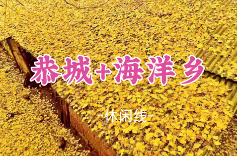 即将成团！10.30晚-11.1【恭城+海洋乡】大小桐木湾赏银杏，红岩村探秘万亩柿林，行摄黄姚古镇