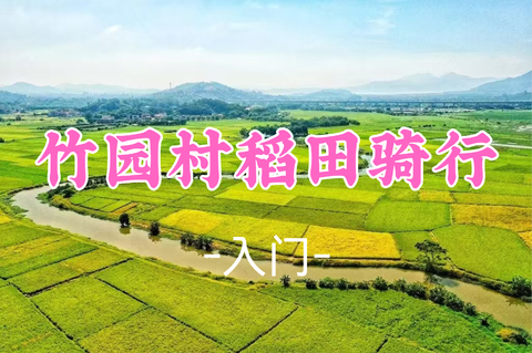 已成团！99元起！周六10.24 悟空领队【骑行42公里 】大亚湾竹园村稻田骑行