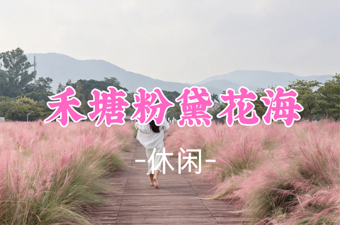 新线！成团！59元起！周日11.1 晴雨领队【休闲摄影】秋日限定｜7000㎡禾塘粉黛花海 + 600 年大鹏所城一日休闲游