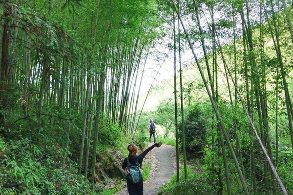 【休闲】周日丨星溪线穿越竹林品竹筒饭，千泷沟赏大瀑布