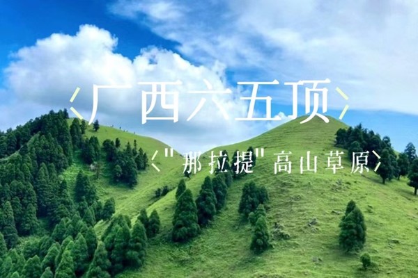 少量余位！6.21晚-6.22【广西六五顶】小红书火爆出圈“那拉提”版高山草原，北欧同款塔状杉树林