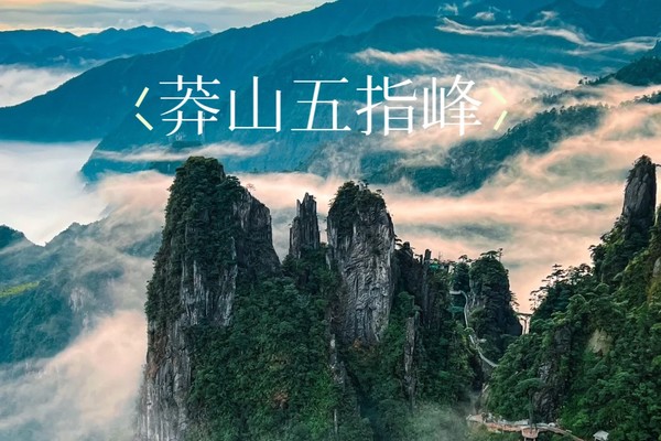 即将成团【缆车上下】6.29晚-30 【莽山五指峰】赏星空看绝美日出 探秘腊元古村